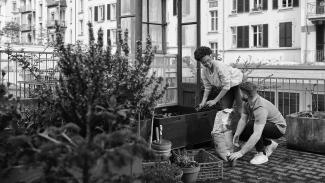 Mann und Frau arbeiten im Garten 