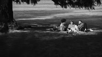 Freunde picknick unter Baum